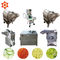 660Kgs / H Sebze İşlemci Makinesi Zencefil Sarımsak Gıda Kesici Makinesi